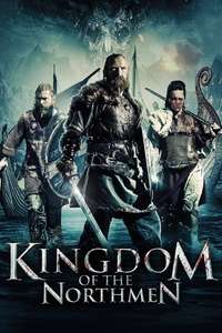 Viking Siege - Poster