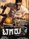 Tagaru