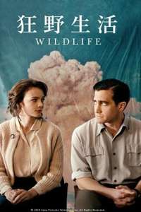 Wildlife - Poster