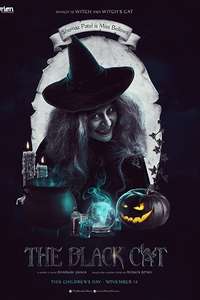 The Black Cat - Poster