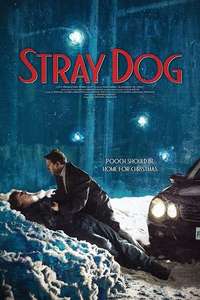 Stray Dog - Poster