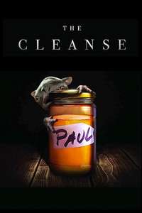 The Cleanse - Poster
