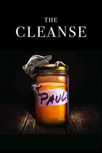 The Cleanse - Poster