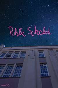 Adventures in Public School - Poster