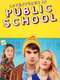 Adventures in Public School