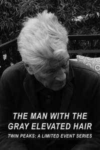 The Man with the Gray Elevated Hair - Poster