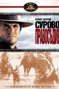 Hang 'em High - Poster