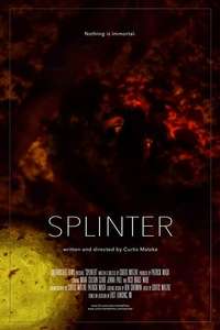 Splinter - Posters