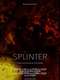 Splinter