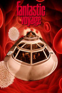 Fantastic Voyage - Poster
