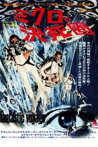 Fantastic Voyage - Poster