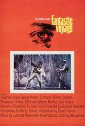 Fantastic Voyage