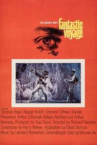 Fantastic Voyage - Poster
