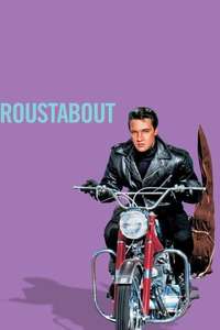 Roustabout - Poster