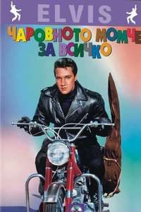 Roustabout - Poster