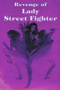 Revenge of Lady Street Fighter - Poster