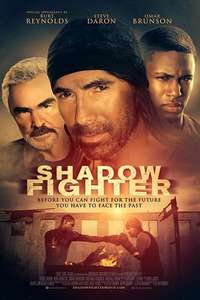 Shadow Fighter - Poster