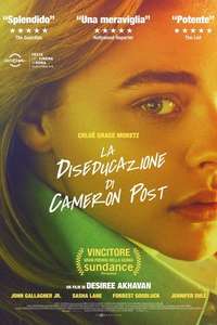 The Miseducation of Cameron Post - Poster