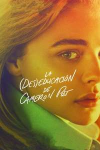 The Miseducation of Cameron Post - Poster