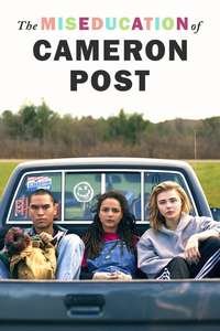 The Miseducation of Cameron Post - Poster