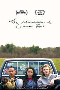 The Miseducation of Cameron Post - Poster