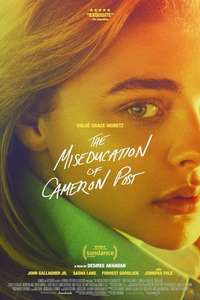 The Miseducation of Cameron Post - Poster
