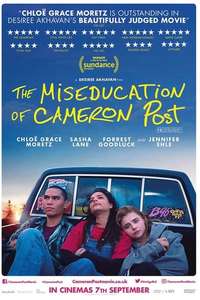 The Miseducation of Cameron Post - Poster