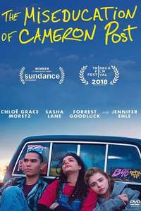 The Miseducation of Cameron Post - Poster