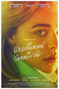The Miseducation of Cameron Post - Poster