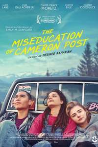 The Miseducation of Cameron Post - Poster
