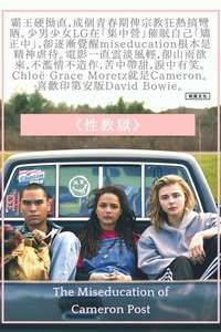 The Miseducation of Cameron Post - Poster