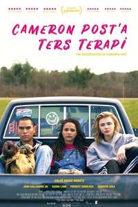 The Miseducation of Cameron Post - Poster