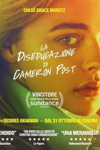 The Miseducation of Cameron Post - Poster
