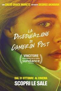 The Miseducation of Cameron Post - Poster