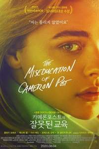 The Miseducation of Cameron Post - Poster