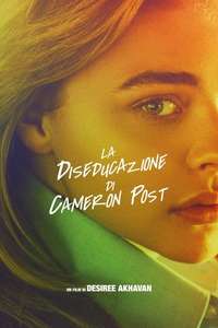 The Miseducation of Cameron Post - Poster