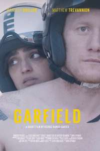 Garfield - Posters