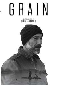 Grain - Poster