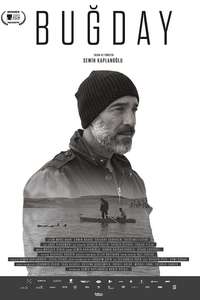 Grain - Poster