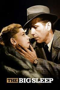 The Big Sleep - Poster