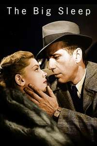 The Big Sleep - Poster