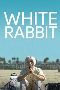 White Rabbit - Poster