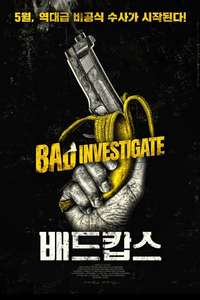 Bad Investigate - Poster