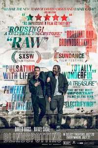 Blindspotting - Poster