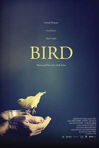Bird - Posters