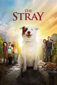 The Stray - Poster