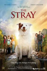 The Stray - Poster