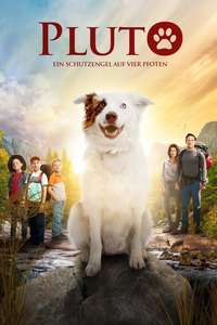 The Stray - Poster