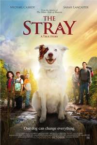 The Stray - Poster