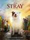 The Stray